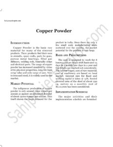 Read more about the article Sahi project report for  Copper Powder