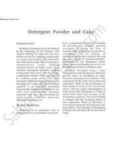 Read more about the article Sahi project report for   Detergent Powder and Cake