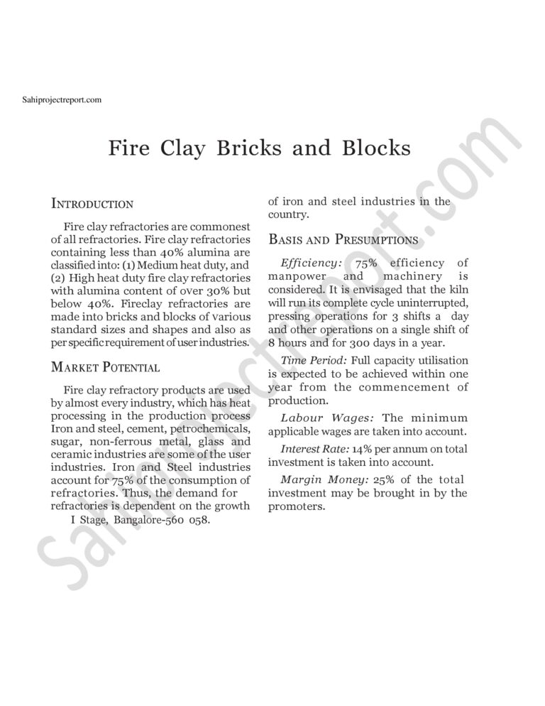Read more about the article Sahi project report for   Fire Clay Bricks and Blocks