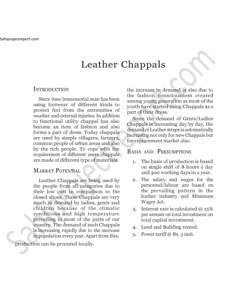 Read more about the article Sahi project report for Leather Chappals