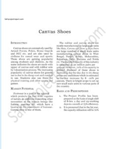 Read more about the article Sahi project report for  Canvas Shoes