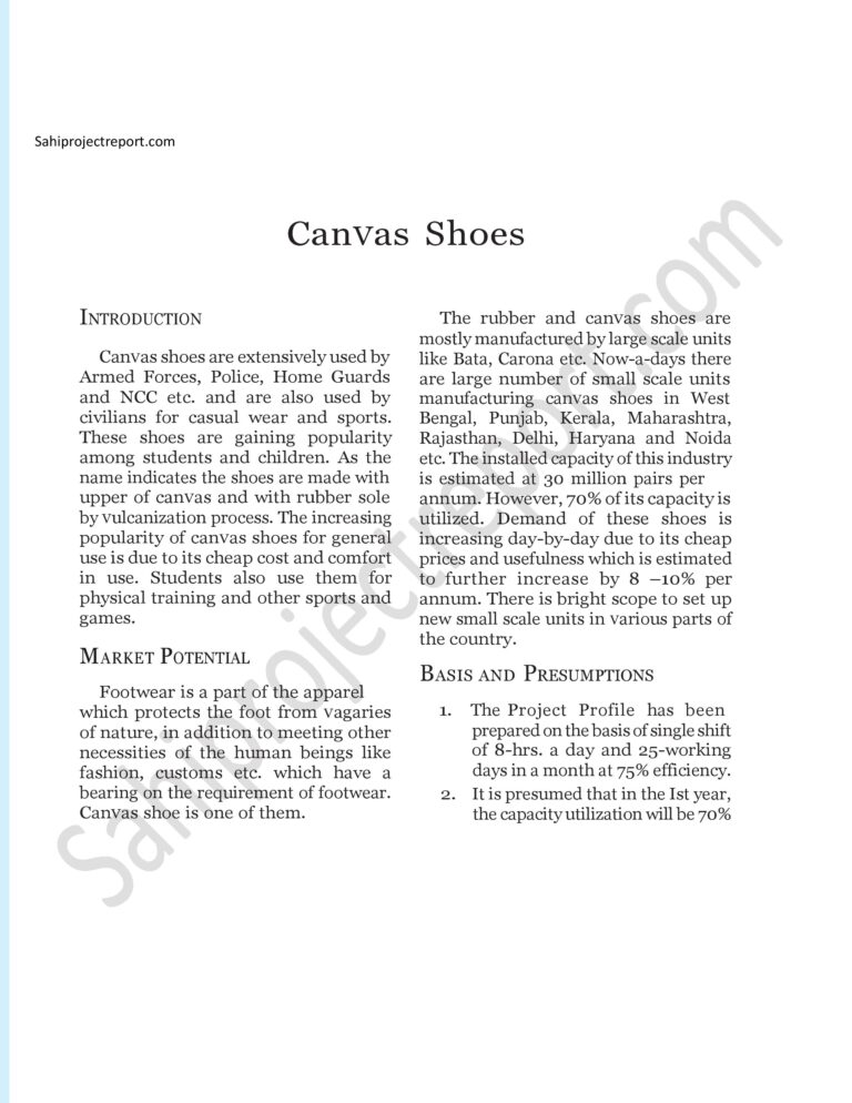 Read more about the article Sahi project report for  Canvas Shoes