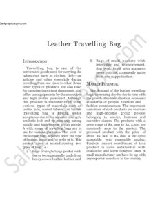 Read more about the article Sahi project report for  Leather Travelling Bag