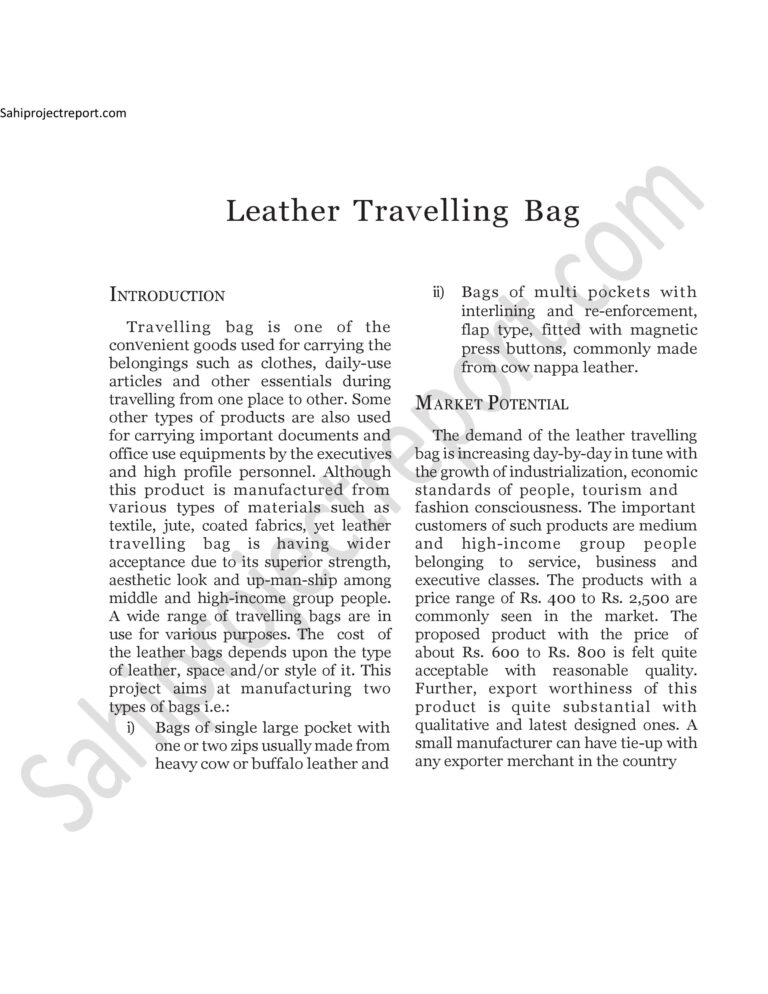 Read more about the article Sahi project report for  Leather Travelling Bag