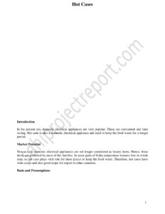 Read more about the article Sahi project report for   Hot Cases