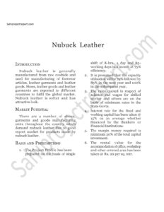 Read more about the article Sahi project report for   Nubuck Leather