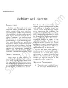 Read more about the article Sahi project report for Saddlery and Harness