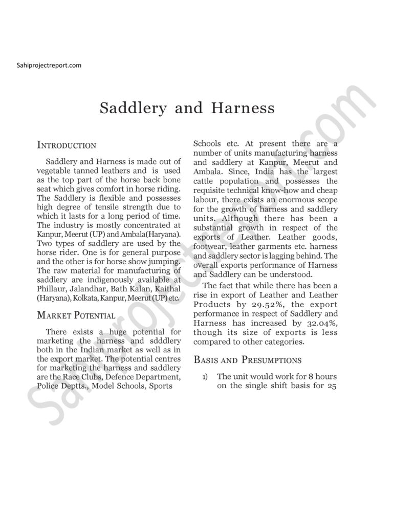 Read more about the article Sahi project report for Saddlery and Harness