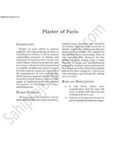 Read more about the article Sahi project report for  Plaster of Paris