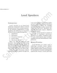 Read more about the article Sahi project report for Loud Speakers