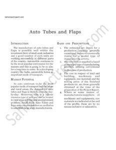 Read more about the article Sahi project report for  Auto Tubes and Flaps