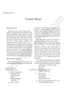 Read more about the article Sahi project report for  Court Shoe