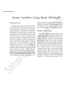 Read more about the article Sahi project report for  Gents Leather Long Boot (Welted)
