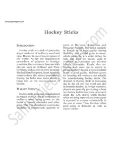 Read more about the article Sahi project report for  Hockey Sticks