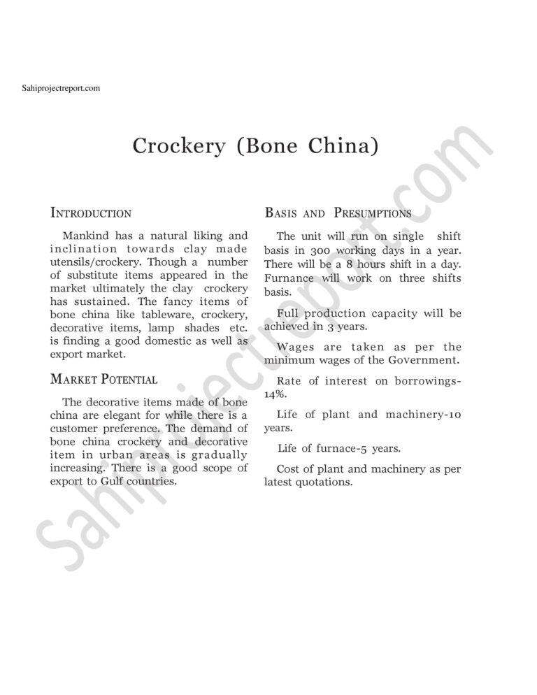 Read more about the article Sahi project report for   Crockery (Bone China)