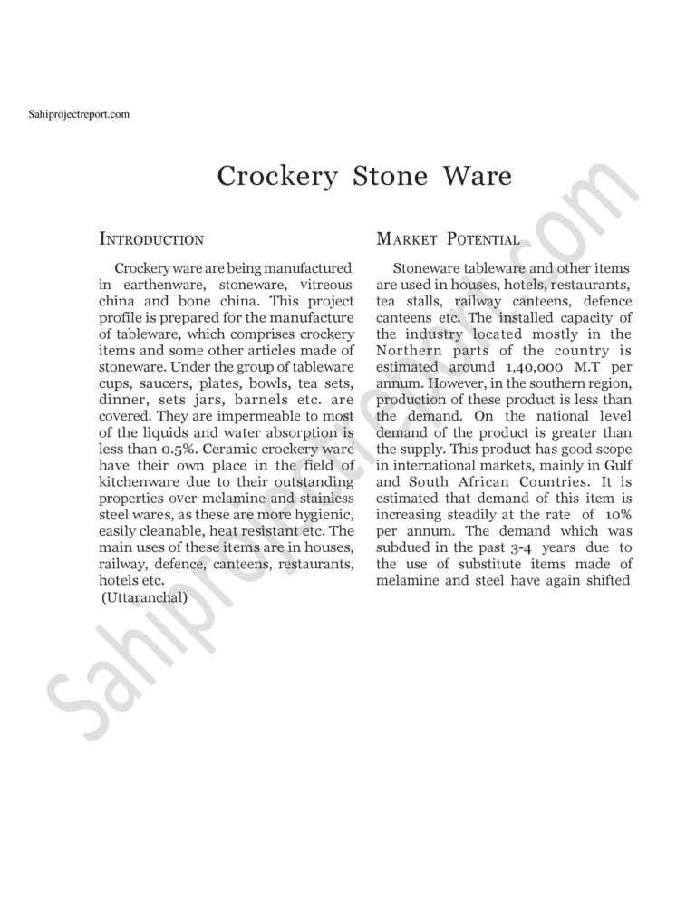 Read more about the article Sahi project report for  Crockery Stone Ware